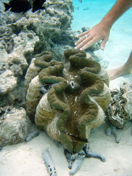 Bildbeschreibung2