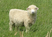 Platzhalterbild